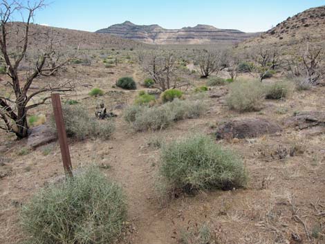 Barber Loop Trail
