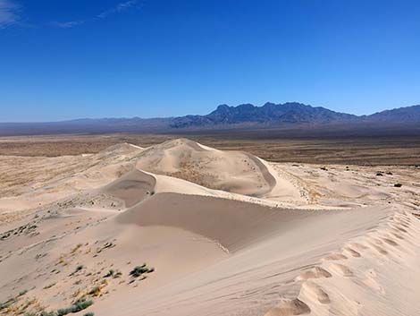 Kelso Dunes