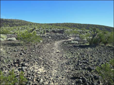 Lava Tube