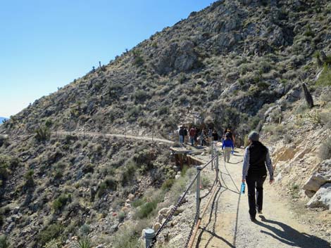 Mitchell Caverns Trail