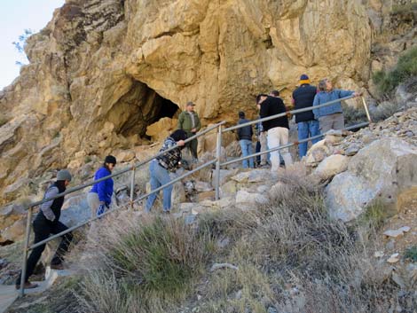 Mitchell Caverns Trail