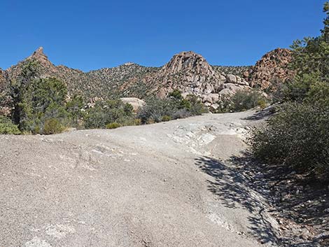 Caruthers Canyon Road