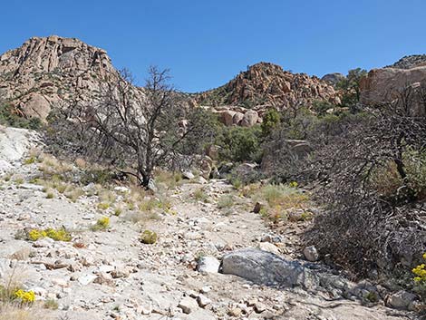 Caruthers Canyon Road