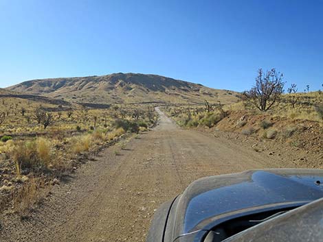 Ivanpah Road