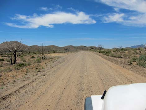 Wild Horse Road