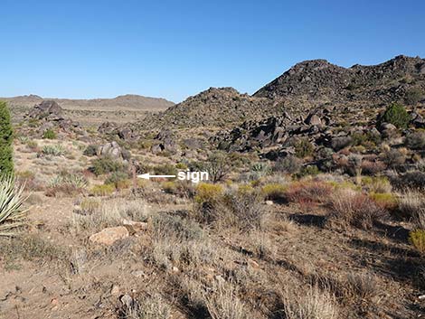 Rock Spring Loop Trail