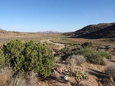 Rock Spring Loop Trail