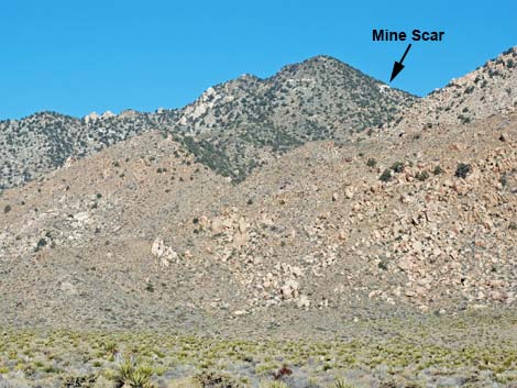 Silver Peak