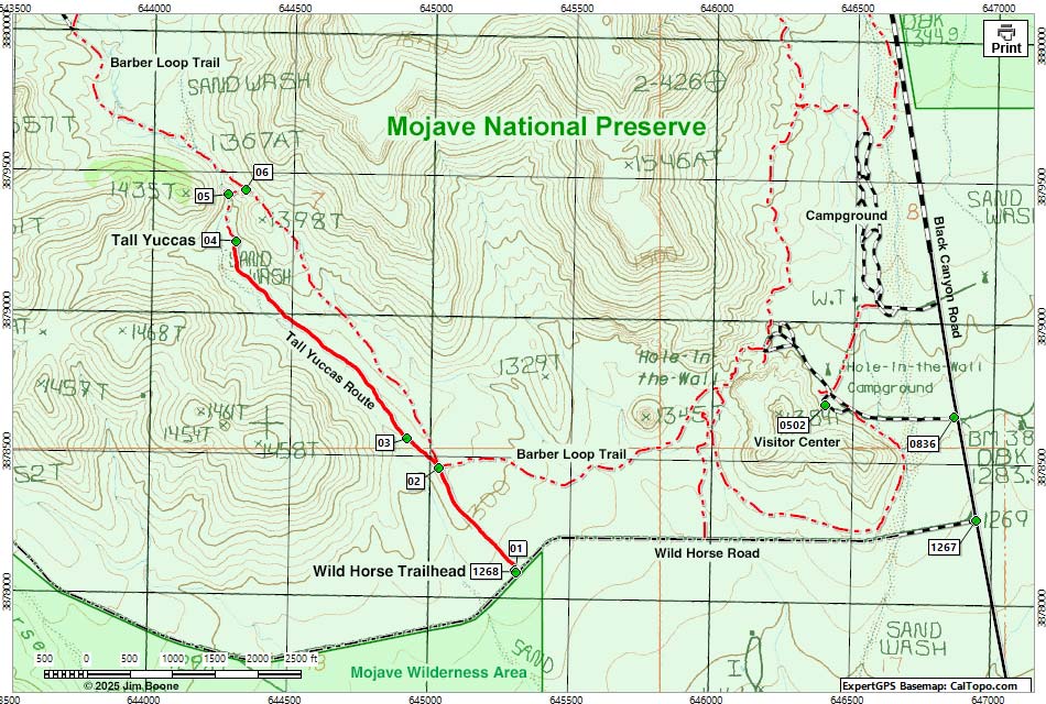 World's Tallest Yucca Map
