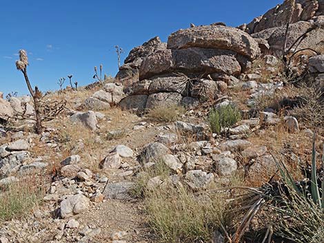 Teutonia Peak Trail