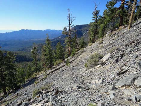 Bonanza Trail