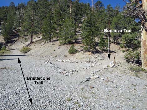 Bonanza Trail