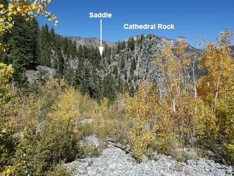Cathedral Rock Trail