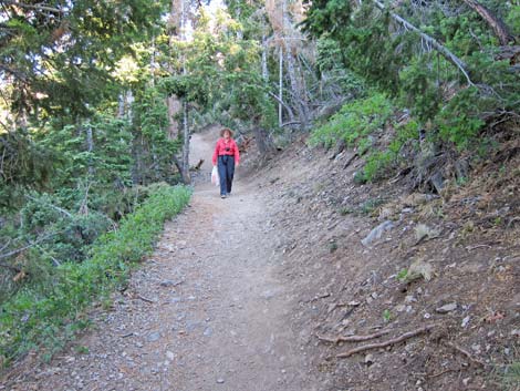 Echo Trail