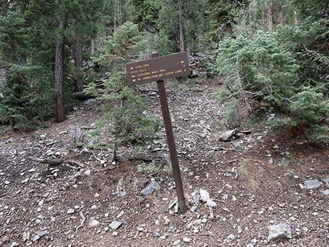 Echo Trail