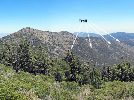 Griffith Peak Trail