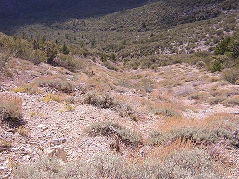 Harris Mountain Route
