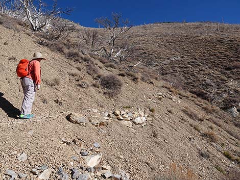 Harris Saddle Trail