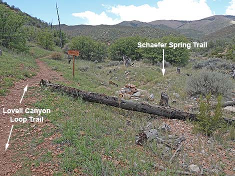 Lovell Canyon Trail