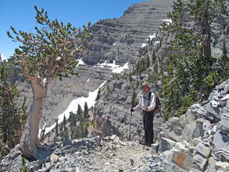 Mt Charleston, East Face