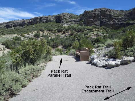 Escarpment Trail