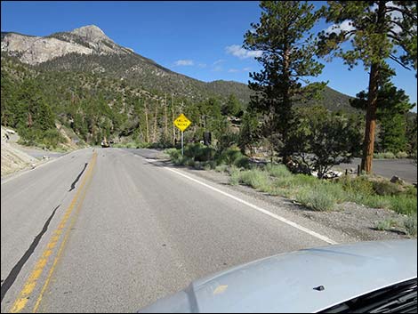 Deer Creek Road