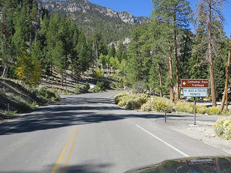 Kyle Canyon Road