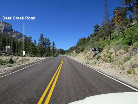 Lee Canyon Road