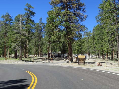 Lee Canyon Road