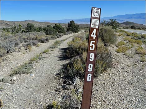 Lee Canyon Road