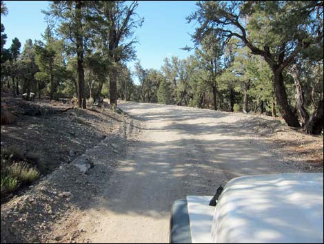 Macks Canyon Road