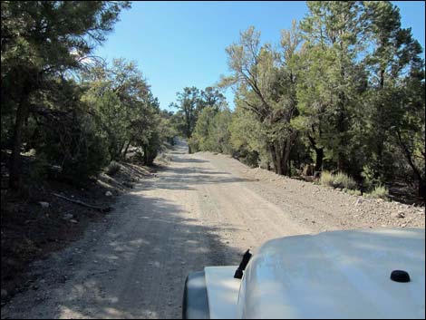 Macks Canyon Road