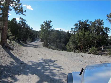 Macks Canyon Road