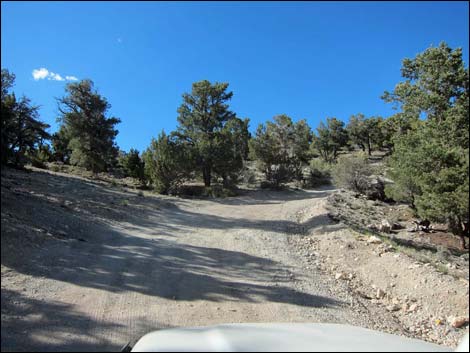 Macks Canyon Road