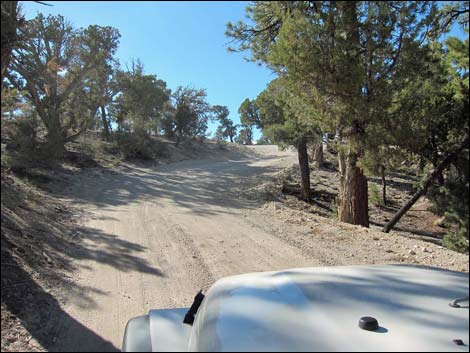 Macks Canyon Road