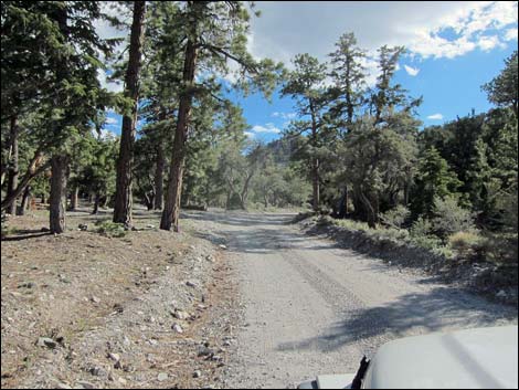 Macks Canyon Road
