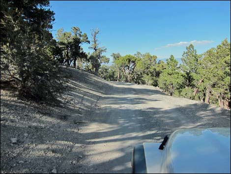 Macks Canyon Road