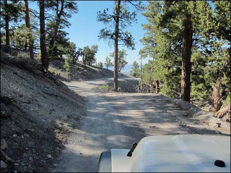 Macks Canyon Road