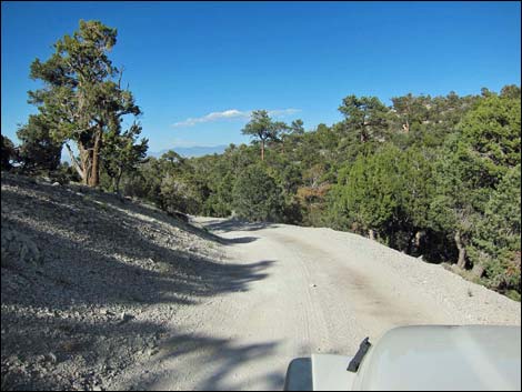 Macks Canyon Road