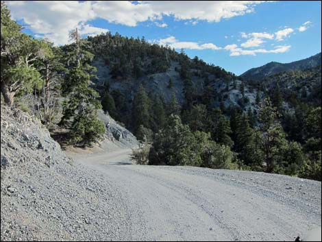 Macks Canyon Road