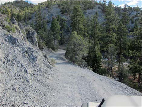 Macks Canyon Road