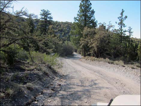 Macks Canyon Road