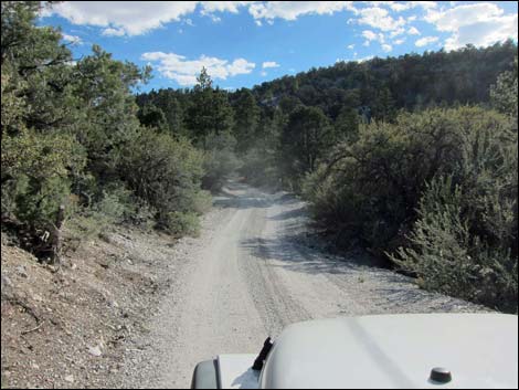 Macks Canyon Road