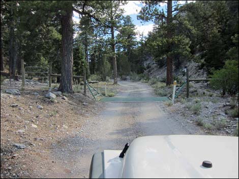 Macks Canyon Road