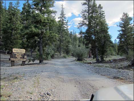 Macks Canyon Road