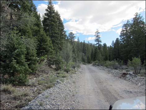 Macks Canyon Road
