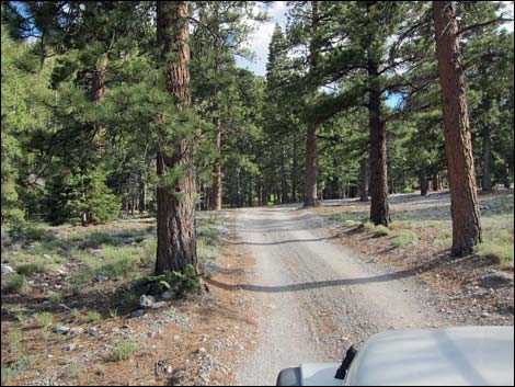 Macks Canyon Road