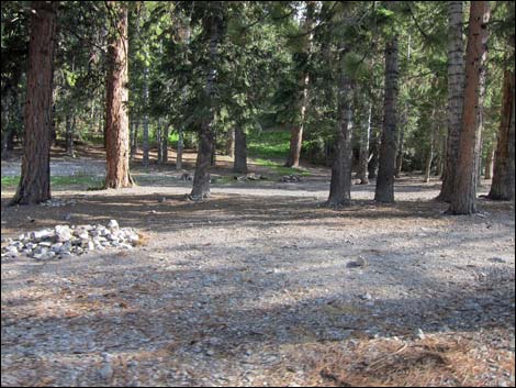 Macks Canyon Road