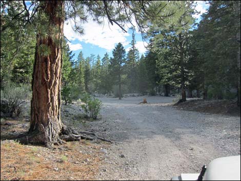 Macks Canyon Road