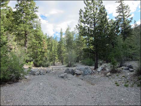 Macks Canyon Road